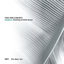 김문주 - 가야금, 무한한 소리를 꿈꾸다