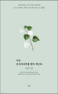 나는 은사시나무를 받아 적는다