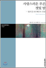 사랑스러운 푸른 잿빛 밤