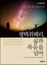 생텍쥐페리, 삶과 죽음을 넘어 (큰글자책)