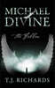 Michael Divine: The Fallen