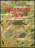 벼메뚜기 대량사육과 이용기술