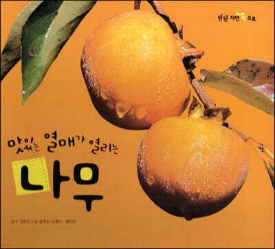 맛있는 열매가 열리는 나무