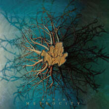 호림 (Horim) - 1집 METROCITY [투명 컬러 2LP]