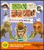 공룡이 궁금해?! : 백악기 후기 3