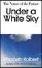 Under a White Sky