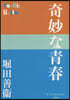 奇妙な靑春