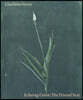 Charlotte Verity: The Printed Year