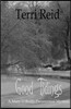 Good Tidings: A Mary O'Reilly Paranormal Mystery - Book Two