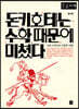 돈키호테는 수학 때문에 미쳤다. (큰글자책)
