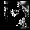 Jinjer - Wallflowers (LP)