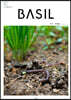 바질 Basil : V.17 유기농 [2021]
