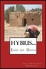 Hybris...End of Days: Provocative work concerning cyberterrorism. Involves use of drones to calculate target GPS coordinates for missile del