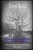 Never Forgotten: A Mary O'Reilly Paranormal Mystery - Book Three