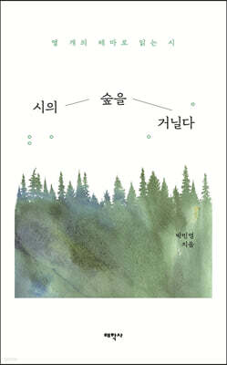 시의 숲을 거닐다