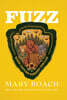 Fuzz: When Nature Breaks the Law