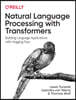 Natural Language Processing with Transformers: Building Language Applications with Hugging Face