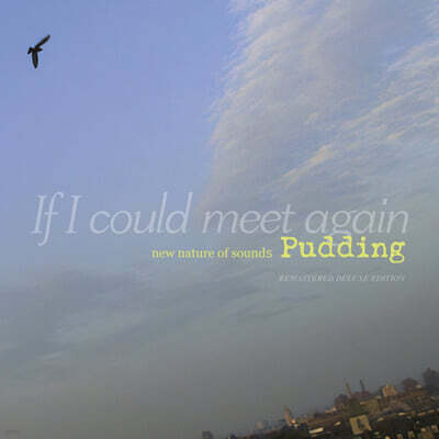 푸딩 (Pudding) - If I Could Meet Again