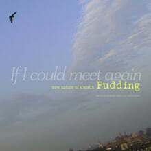 푸딩 (Pudding) - If I Could Meet Again