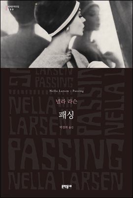 패싱 - 세계문학전집 199