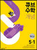 큐브수학 개념 초등 수학 5-1 (2025년용)