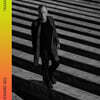 Sting (스팅) - 15집 The Bridge [LP]