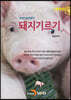 돼지기르기