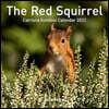 The Red Squirrel Calendar 2022