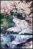 [BL] 망천의 새 3