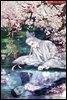 [BL] 망천의 새