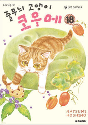 줄무늬 고양이 코우메 18