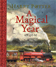 해리 포터 : 마법 같은 1년