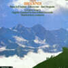 Matthew Best 브루크너: 미사곡 E단조 (Bruckner: Mass in E minor)