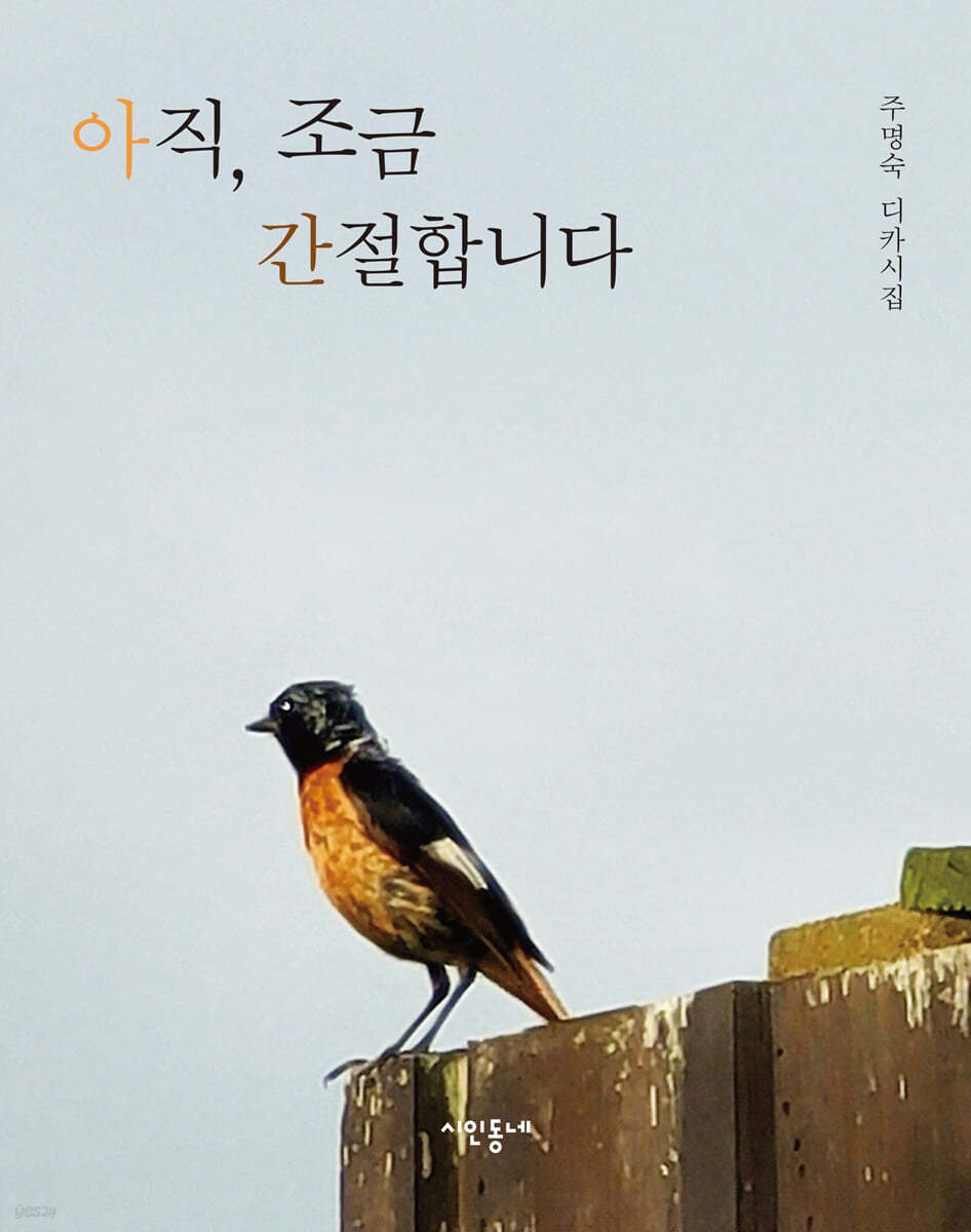 아직, 조금 간절합니다