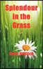 Splendour in the Grass