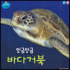 엉금엉금 바다거북