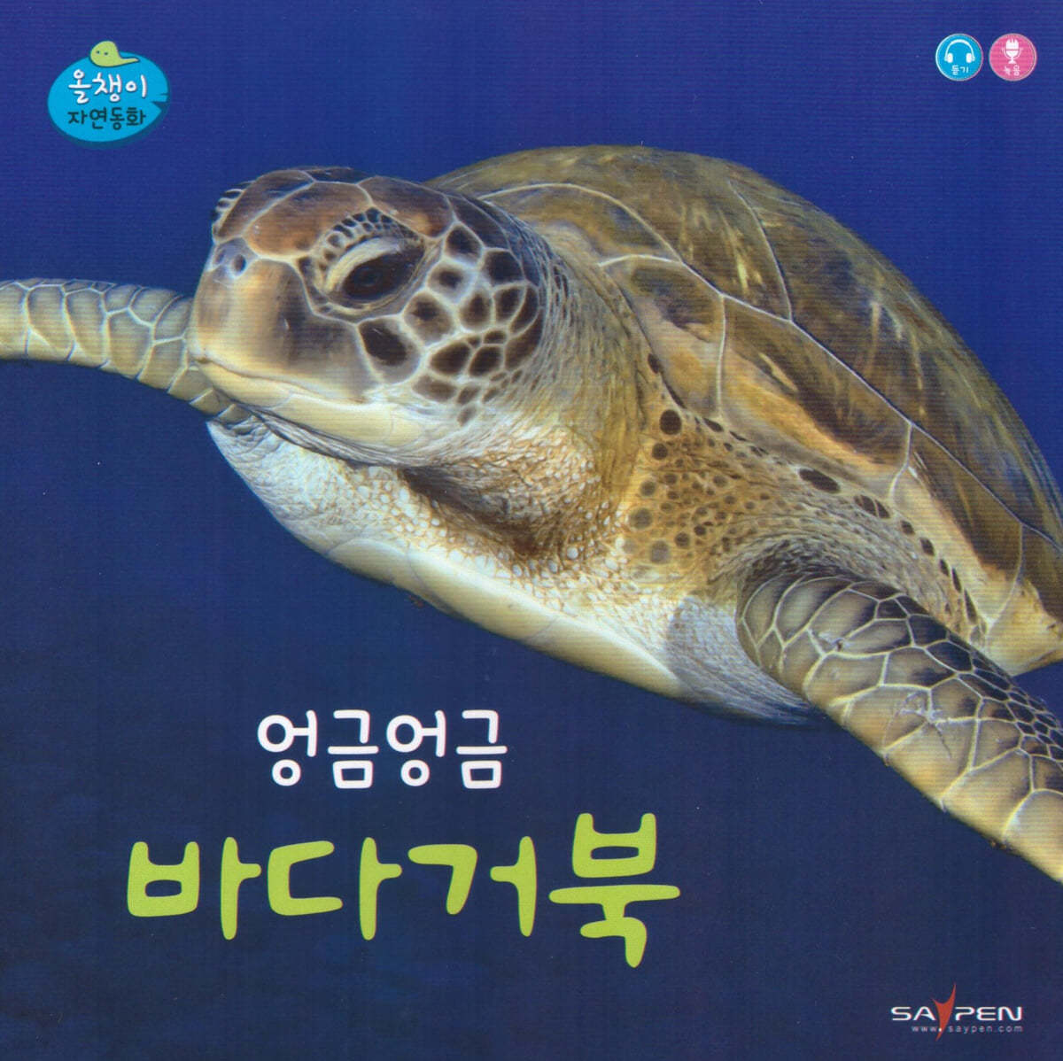 엉금엉금 바다거북