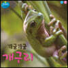 개굴개굴 개구리