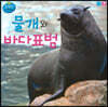 물개와 바다표범