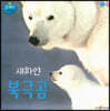새하얀 북극곰