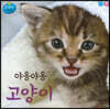 야옹야옹 고양이