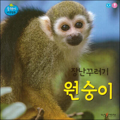 장난꾸러기 원숭이