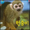 장난꾸러기 원숭이