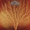 Van Der Graaf Generator (밴 더 그래프 제너레이터) - Still Life [2CD+DVD-Audio]