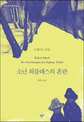 소년 퇴를레스의 혼란 (큰글자도서)