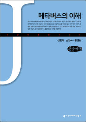 메타버스의 이해 (큰글씨책)
