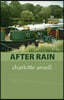 After Rain