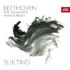 Suk Trio 베토벤: 피아노 트리오 전곡 (Beethoven: The Complete Piano Trios)