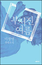 부서진 여름 (큰글자도서)