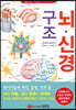 뇌신경 구조